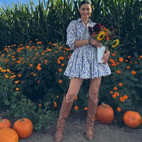 Women Brownpu Embroidered Pointed Toe Knee High Western Chunky Heels Boots - Picture 4 of 7